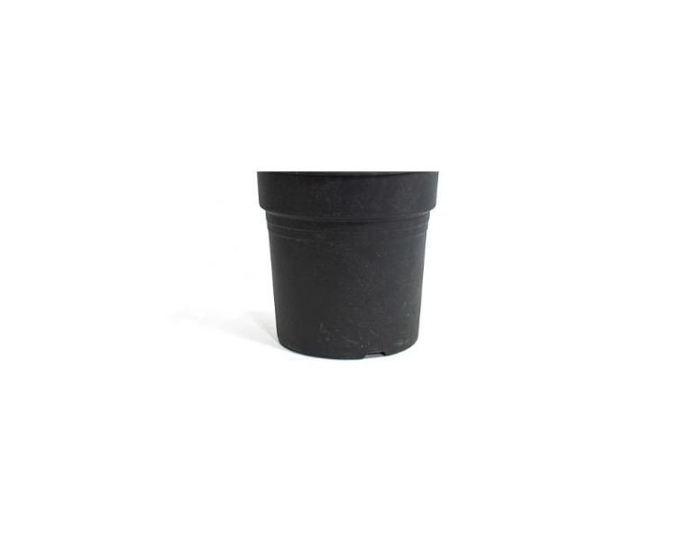 Product???